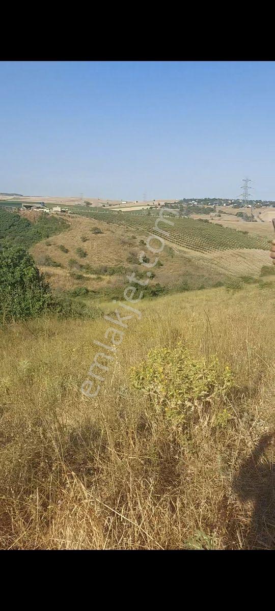 Gelibolu Bolayırda Müstakil Tapulu Deniz Manzaralı Arsa — fotoğraf 5