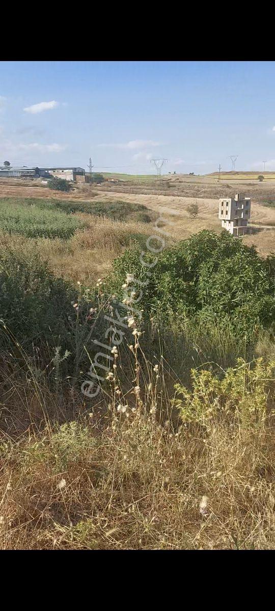Gelibolu Bolayırda Müstakil Tapulu Deniz Manzaralı Arsa — fotoğraf 6