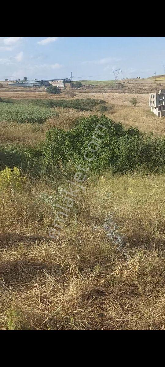 Gelibolu Bolayırda Müstakil Tapulu Deniz Manzaralı Arsa — fotoğraf 7