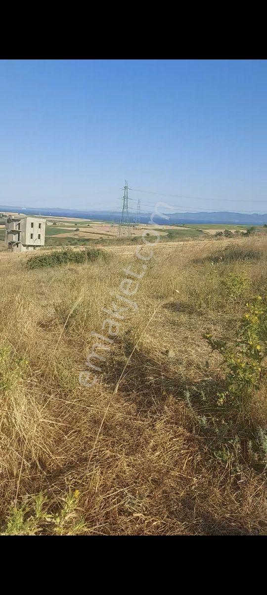 Gelibolu Bolayırda Müstakil Tapulu Deniz Manzaralı Arsa — fotoğraf 8
