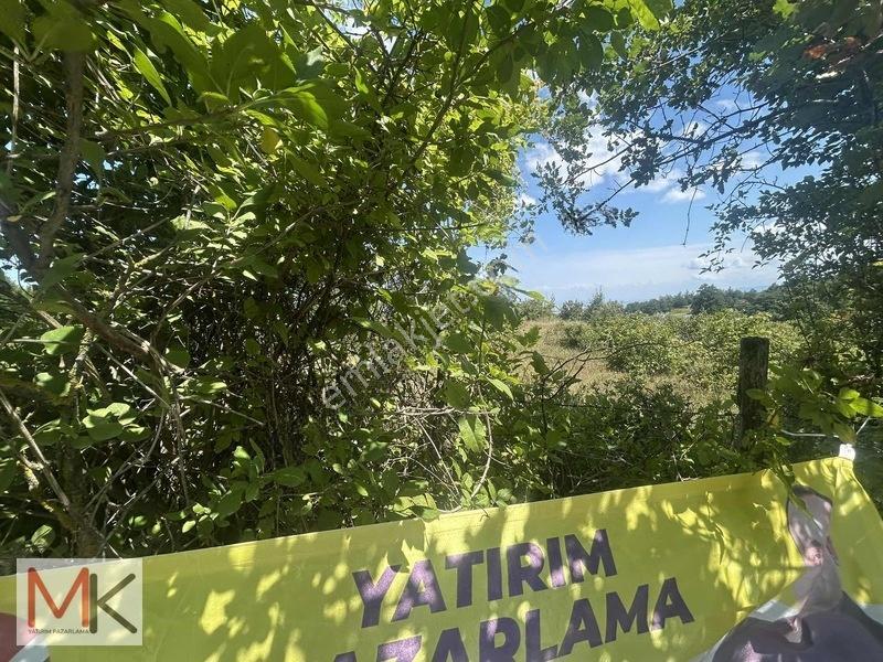 ! Tek Tapu ! Deniz Manzaralı Satılık Tarla — fotoğraf 4