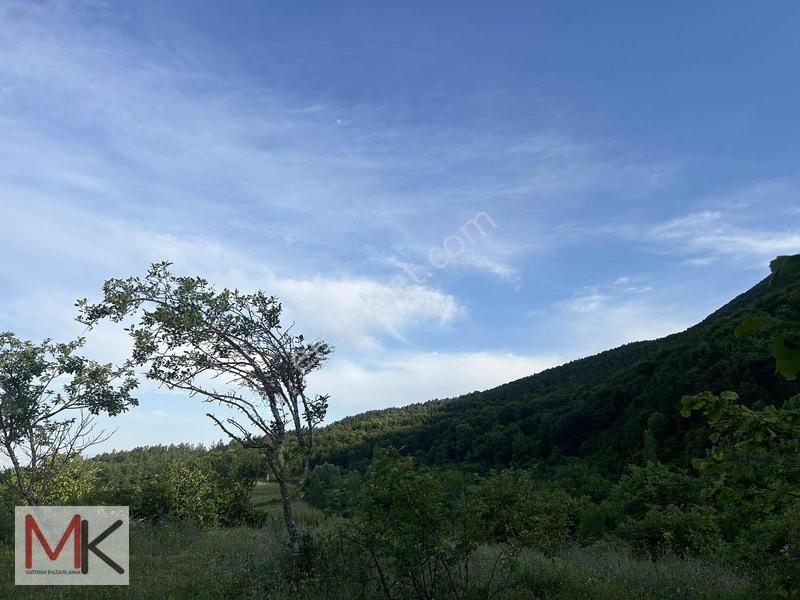 ! Tek Tapu ! Deniz Manzaralı Satılık Tarla — fotoğraf 27