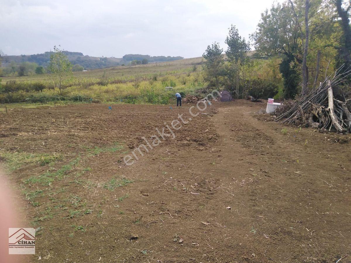 Takasa Uygun Satılık Kopon Tarla — fotoğraf 4