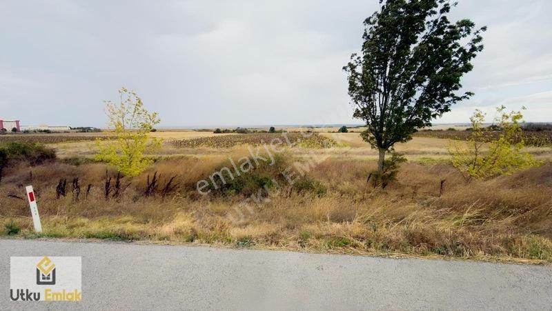 Babaeski Nacak Ta 3082 M2 Asfalt Duble Yola Cephe Satılık Tarla
