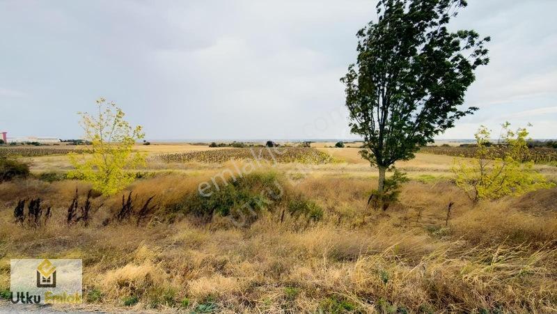 Babaeski Nacak Ta 3082 M2 Asfalt Duble Yola Cephe Satılık Tarla — fotoğraf 2