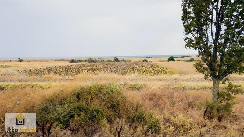 Babaeski Nacak Ta 3082 M2 Asfalt Duble Yola Cephe Satılık Tarla — fotoğraf 4