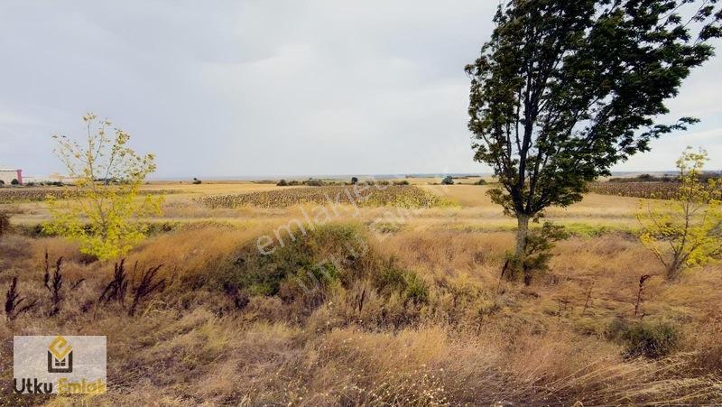 Babaeski Nacak Ta 3082 M2 Asfalt Duble Yola Cephe Satılık Tarla — fotoğraf 5
