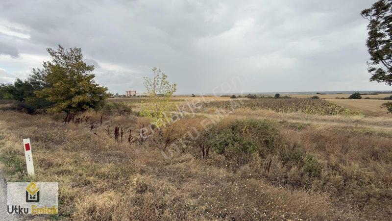 Babaeski Nacak Ta 3082 M2 Asfalt Duble Yola Cephe Satılık Tarla — fotoğraf 6