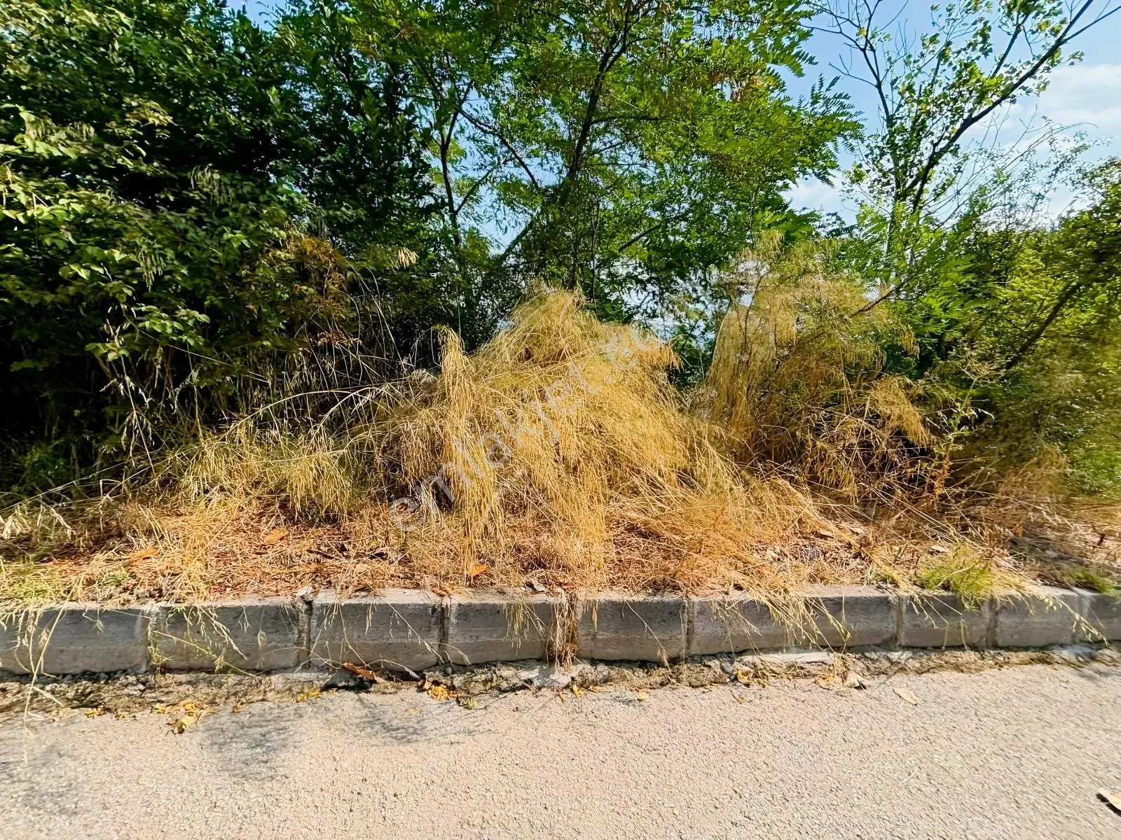 Canik Hasköy Full Deniz Manzaralı Satılık İmarlı Arsa — fotoğraf 2