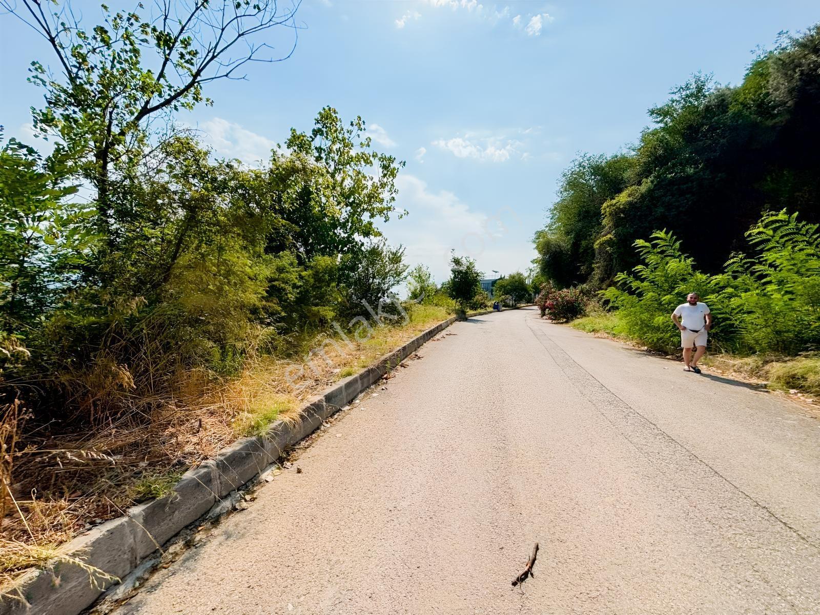 Canik Hasköy Full Deniz Manzaralı Satılık İmarlı Arsa — fotoğraf 7
