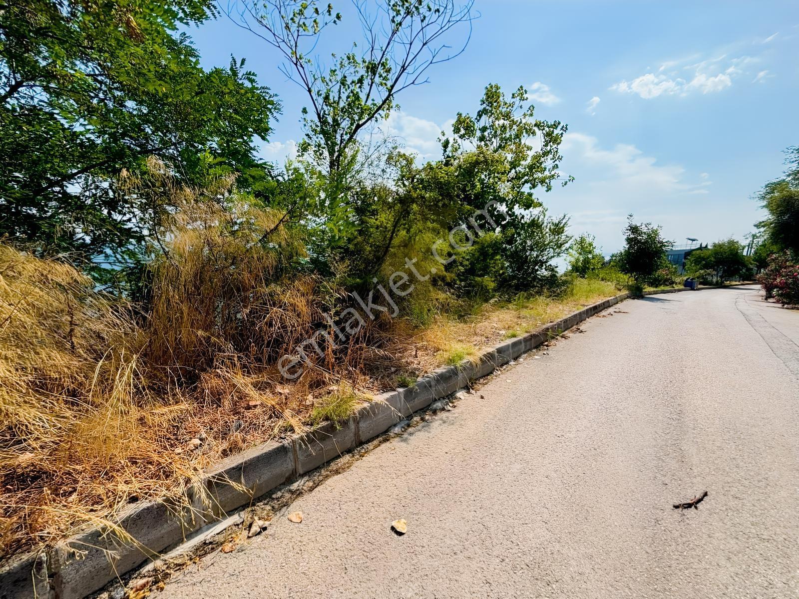 Canik Hasköy Full Deniz Manzaralı Satılık İmarlı Arsa — fotoğraf 8