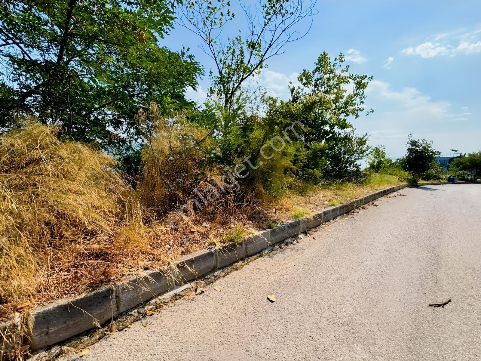 Canik Hasköy Full Deniz Manzaralı Satılık İmarlı Arsa — fotoğraf 11