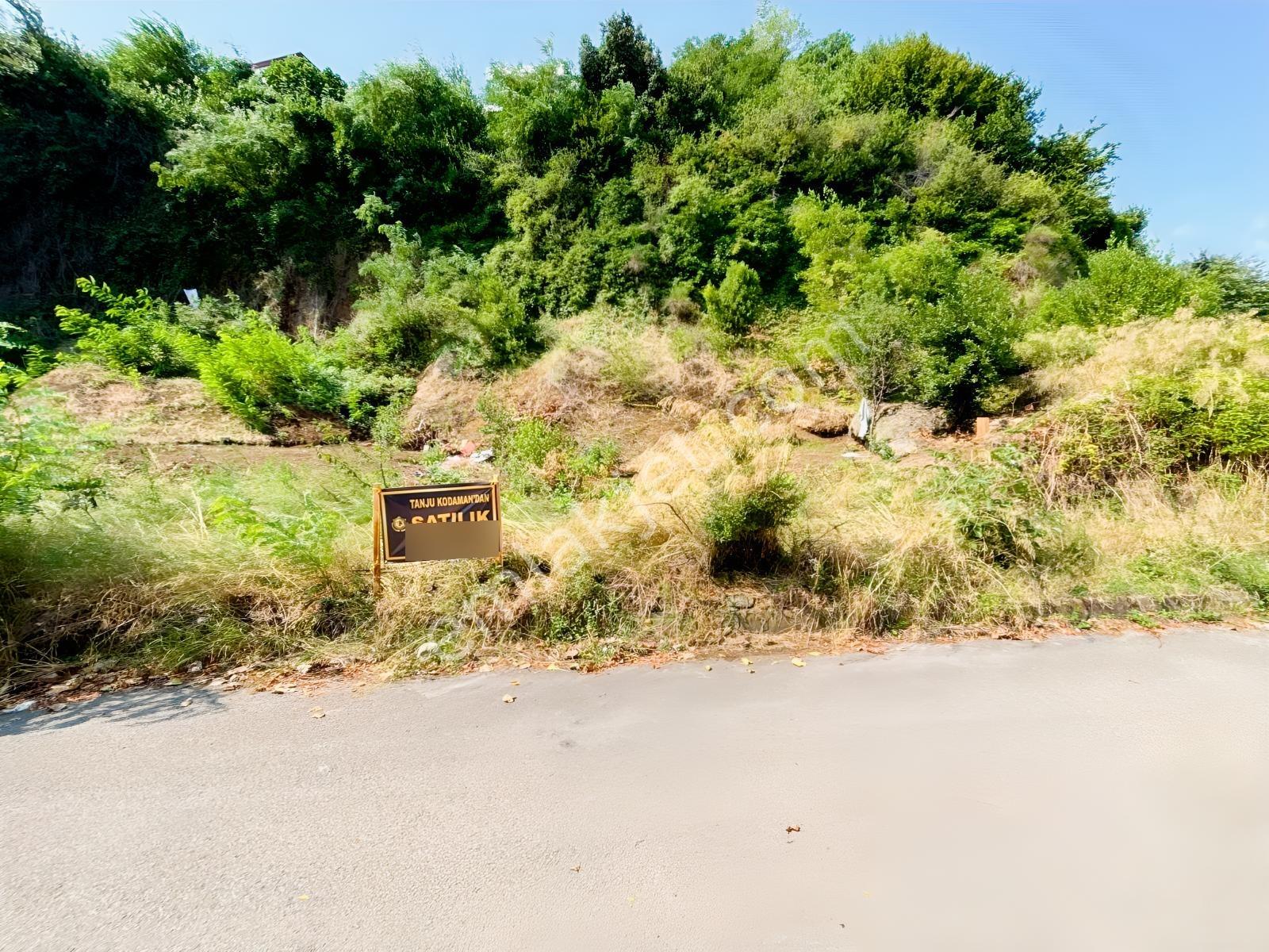 Canik Hasköy Full Deniz Manzaralı Satılık İmarlı Arsa — fotoğraf 15