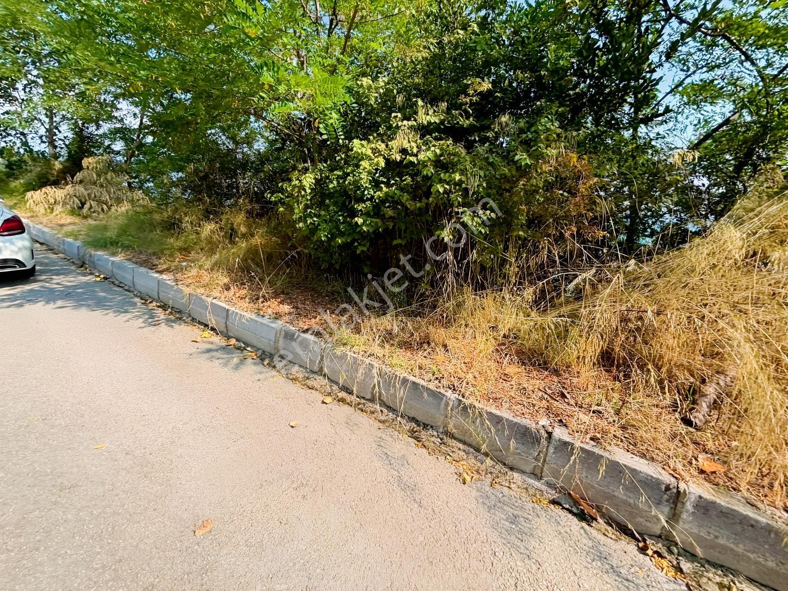 Canik Hasköy Full Deniz Manzaralı Satılık İmarlı Arsa — fotoğraf 17
