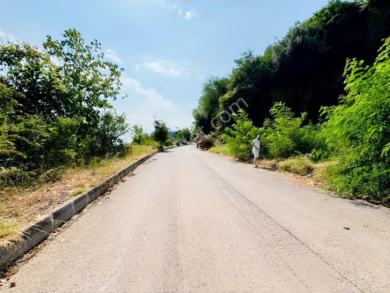 Canik Hasköy Full Deniz Manzaralı Satılık İmarlı Arsa — fotoğraf 20