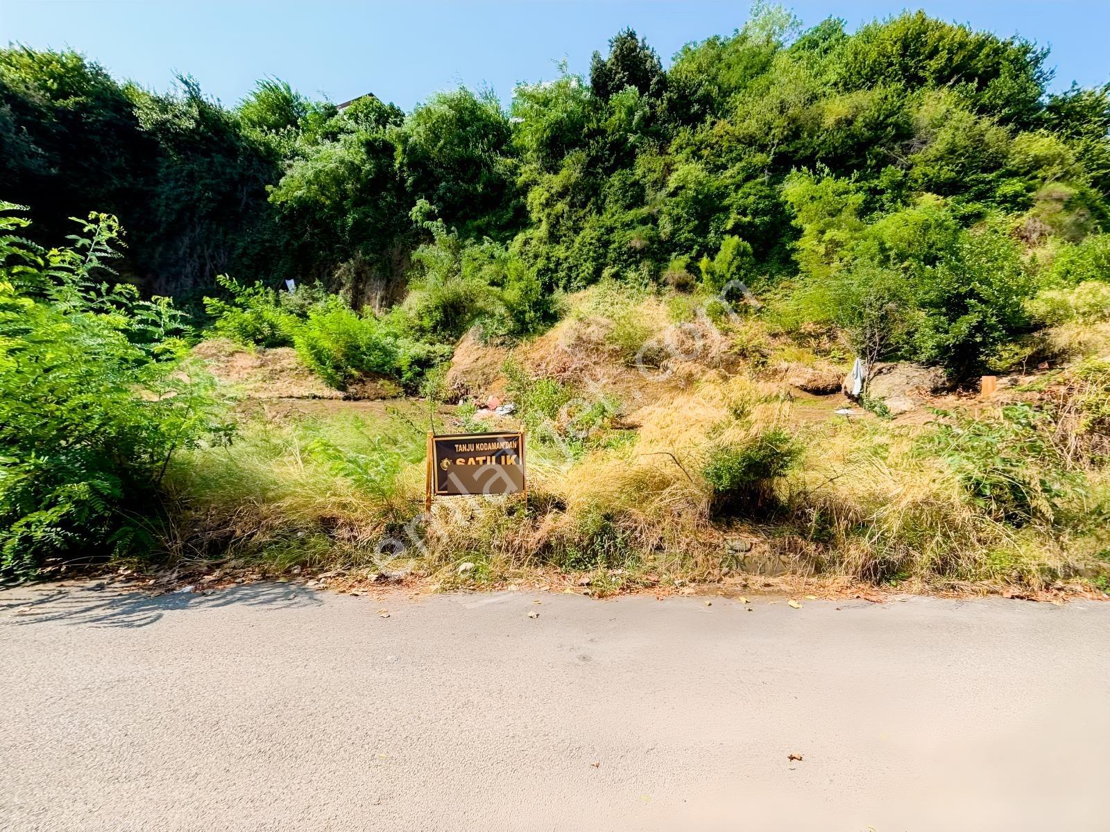 Canik Hasköy Full Deniz Manzaralı Satılık İmarlı Arsa — fotoğraf 21