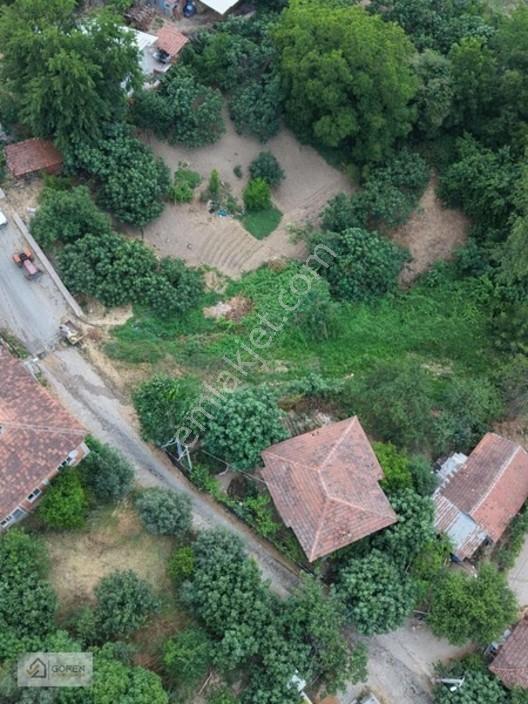 Acil Satılık Ayva Köyde 320 M² Tek Tapu Bahçe — fotoğraf 3
