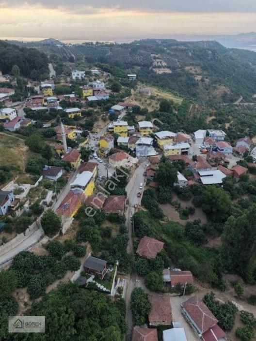 Acil Satılık Ayva Köyde 320 M² Tek Tapu Bahçe — fotoğraf 5
