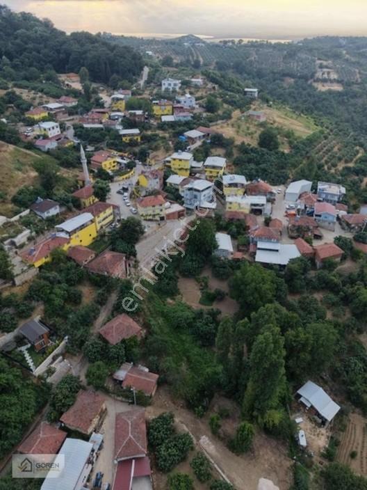 Acil Satılık Ayva Köyde 320 M² Tek Tapu Bahçe — fotoğraf 11