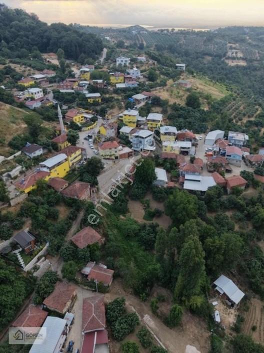 Acil Satılık Ayva Köyde 320 M² Tek Tapu Bahçe — fotoğraf 12