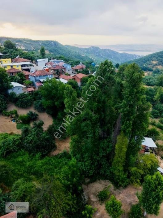 Acil Satılık Ayva Köyde 320 M² Tek Tapu Bahçe — fotoğraf 14
