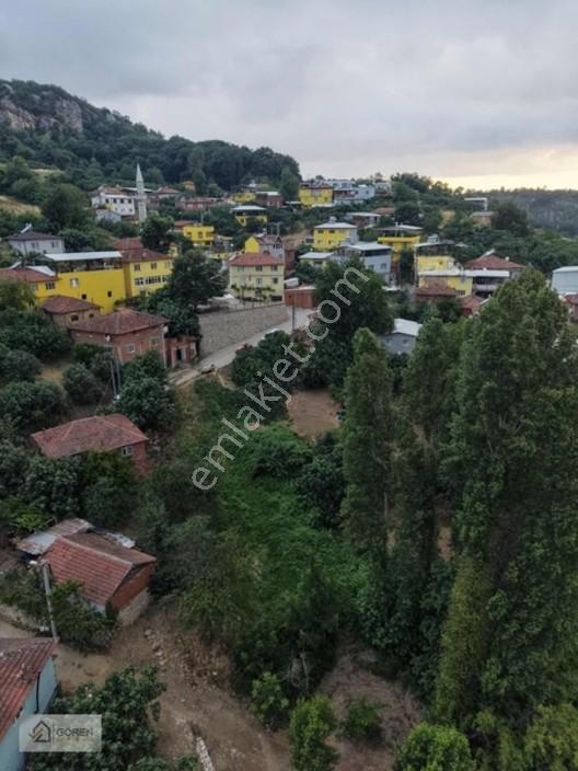 Acil Satılık Ayva Köyde 320 M² Tek Tapu Bahçe — fotoğraf 19