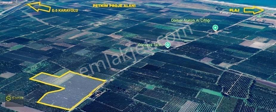 Safir'den Erzin Yeşiltepede 14.500 M² Okitsu Mandalina Bahçesi. — fotoğraf 2