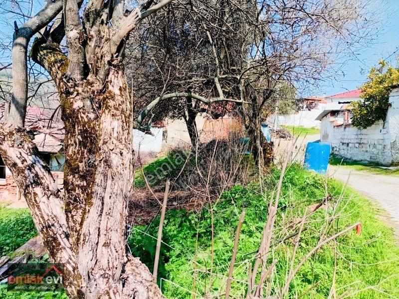 Emlak Evi'nden Cincin De Satılık Arsa — fotoğraf 3