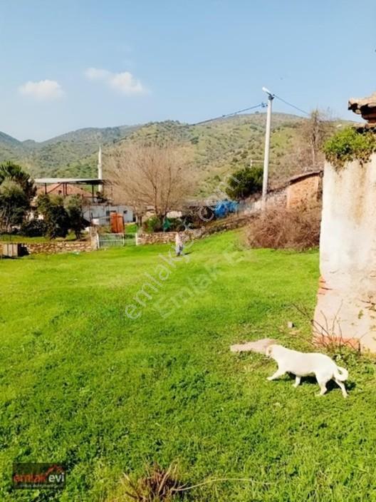 Emlak Evi'nden Cincin De Satılık Arsa — fotoğraf 4