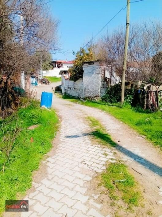 Emlak Evi'nden Cincin De Satılık Arsa — fotoğraf 11