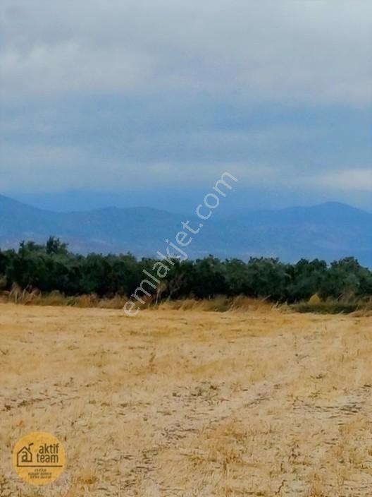 Gömeç Kemalpaşada 2.532 M² 15/30 İmarlı Satılık Arsa — fotoğraf 4