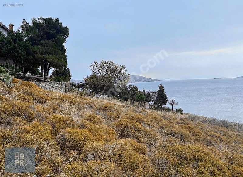 Koyun Adası'Nda Denize Sadece 150 Metre Mesafede! 402 M² Arsa