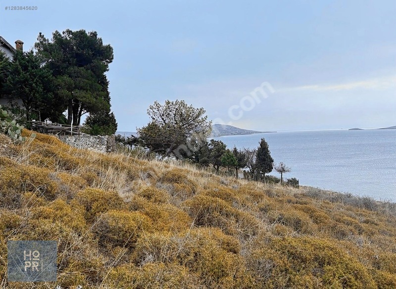 Koyun Adası'nda Denize Sadece 150 Metre Mesafede! 402 M² Arsa — fotoğraf 3
