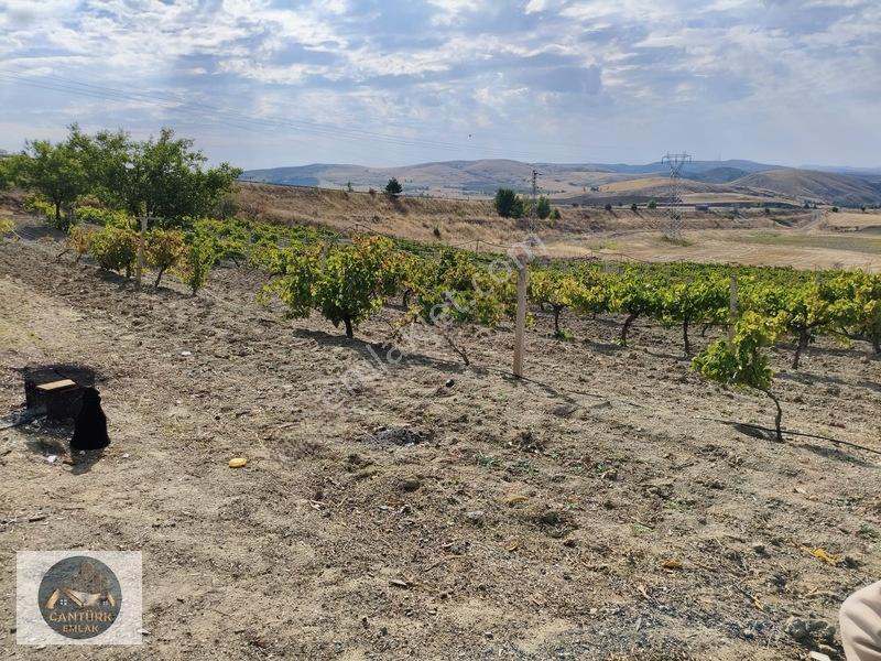 Kalecik Çandırda Tek Tapu Tarla — fotoğraf 2