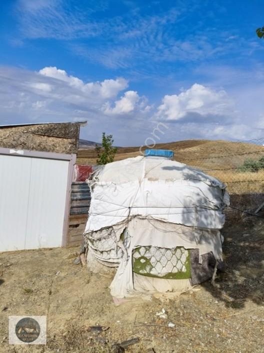 Kalecik Çandırda Tek Tapu Tarla — fotoğraf 4