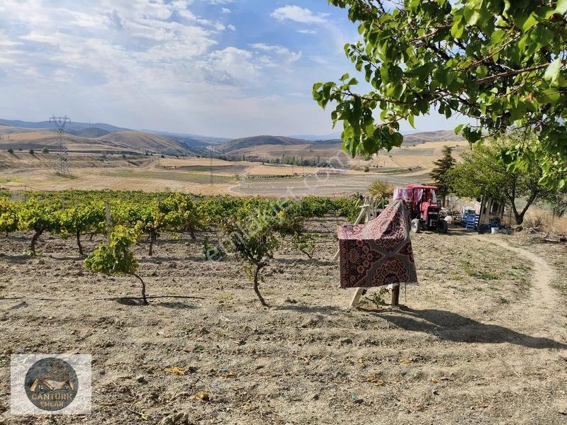 Kalecik Çandırda Tek Tapu Tarla — fotoğraf 5