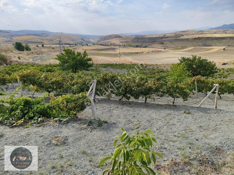 Kalecik Çandırda Tek Tapu Tarla — fotoğraf 6
