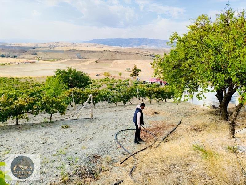 Kalecik Çandırda Tek Tapu Tarla — fotoğraf 8