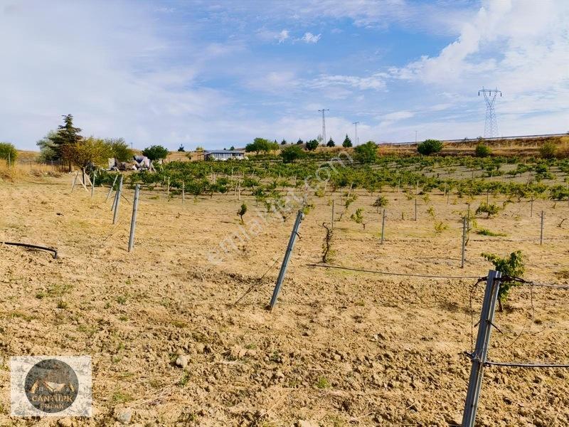 Kalecik Çandırda Tek Tapu Tarla — fotoğraf 9