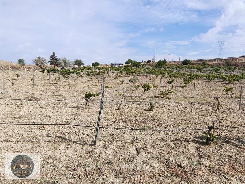 Kalecik Çandırda Tek Tapu Tarla — fotoğraf 10