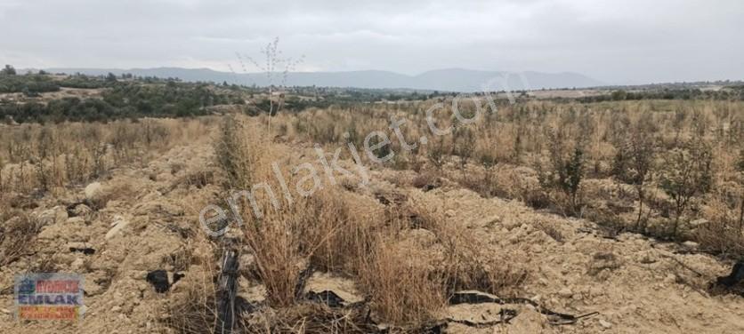 Aydıncık Emlaktan Satılık Elma Bahçesi(fidan) — fotoğraf 3