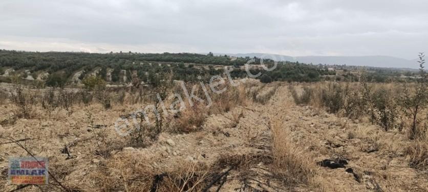 Aydıncık Emlaktan Satılık Elma Bahçesi(fidan) — fotoğraf 6