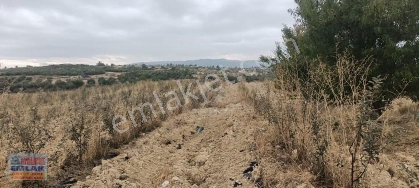 Aydıncık Emlaktan Satılık Elma Bahçesi(fidan) — fotoğraf 7