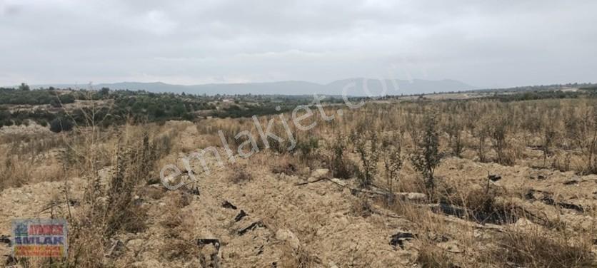 Aydıncık Emlaktan Satılık Elma Bahçesi(fidan) — fotoğraf 10