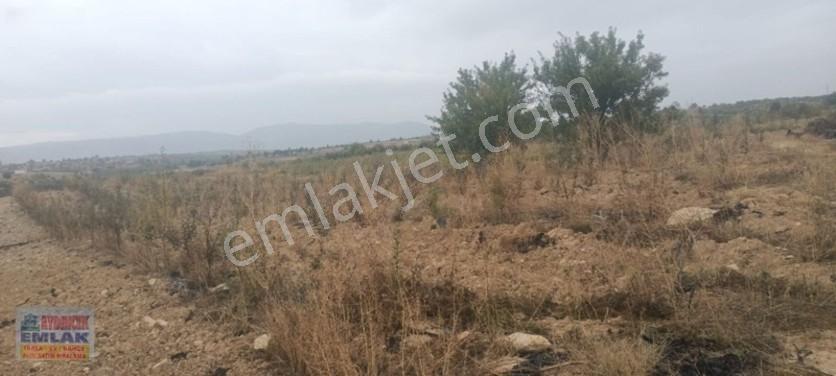 Aydıncık Emlaktan Satılık Elma Bahçesi(fidan) — fotoğraf 12