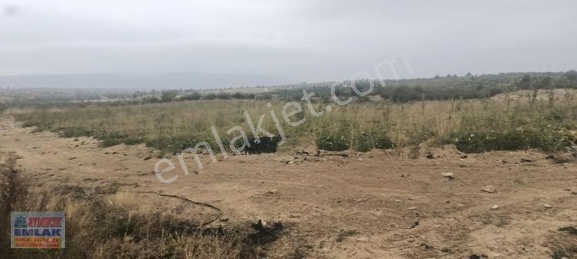 Aydıncık Emlaktan Satılık Elma Bahçesi(fidan) — fotoğraf 16