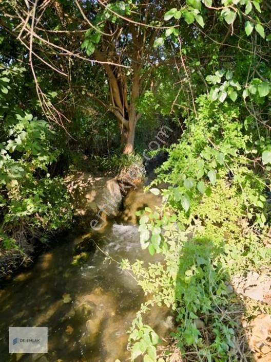 Köyceğiz 'de Muhteşem Konumda Müstakil Tapulu Satılık Tarla — fotoğraf 9