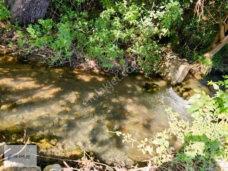 Köyceğiz 'de Muhteşem Konumda Müstakil Tapulu Satılık Tarla — fotoğraf 12