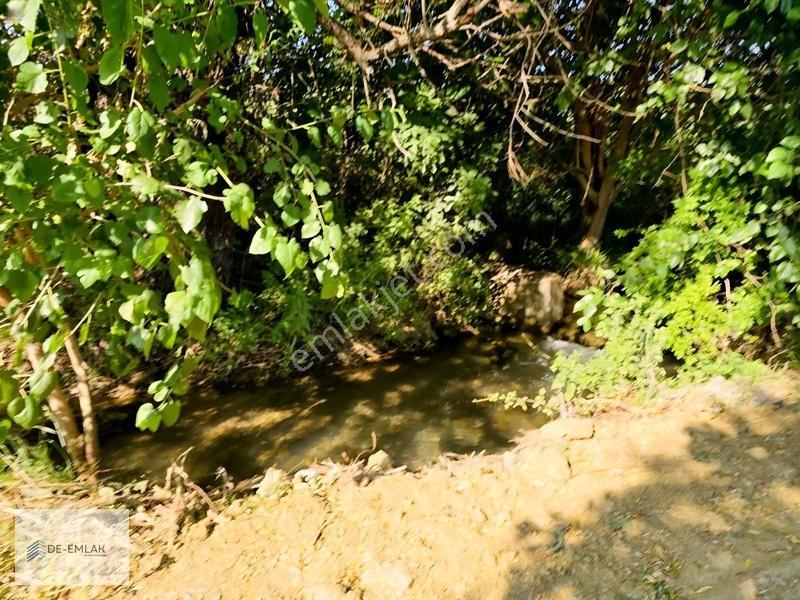 Köyceğiz 'de Muhteşem Konumda Müstakil Tapulu Satılık Tarla — fotoğraf 17