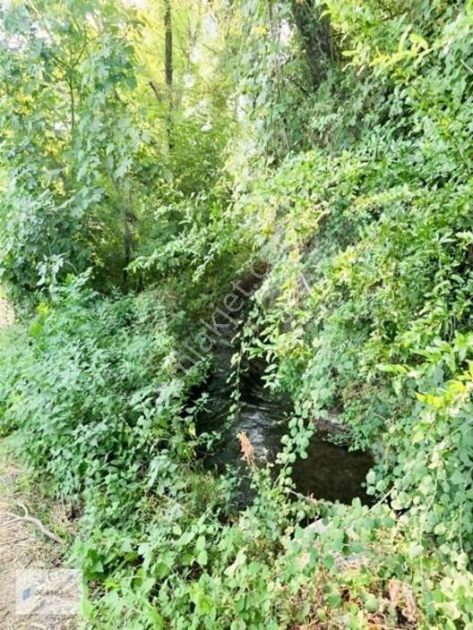 Köyceğiz 'de Muhteşem Konumda Müstakil Tapulu Satılık Tarla — fotoğraf 24